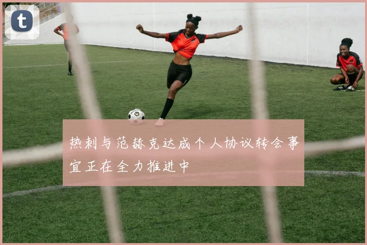热刺与范赫克达成个人协议转会事宜正在全力推进中